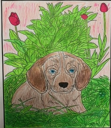image3 (1)
